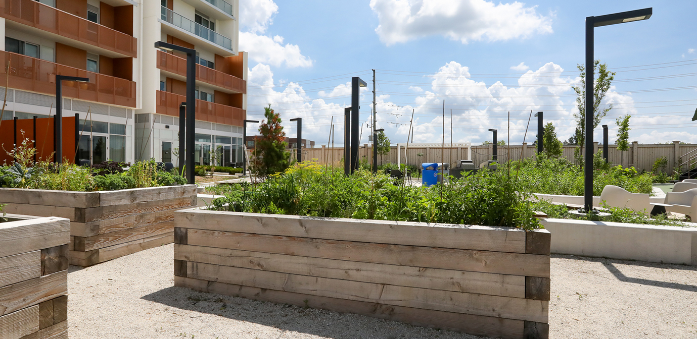 OUTDOOR AMENITY Image
